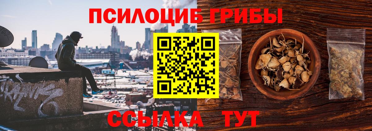 Зеленогорск  Галлюциногенные грибы прущие грибы  Вход с VPN 